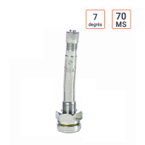 Valve Poids Lourds type ALCOA angle 7° 70MS