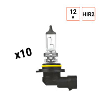 Ampoule HiR2 12V 55W Culot PX22d - Boite de 10 ex.