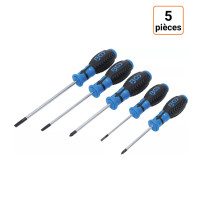 Lot de 5 tournevis cruciforme et à fente