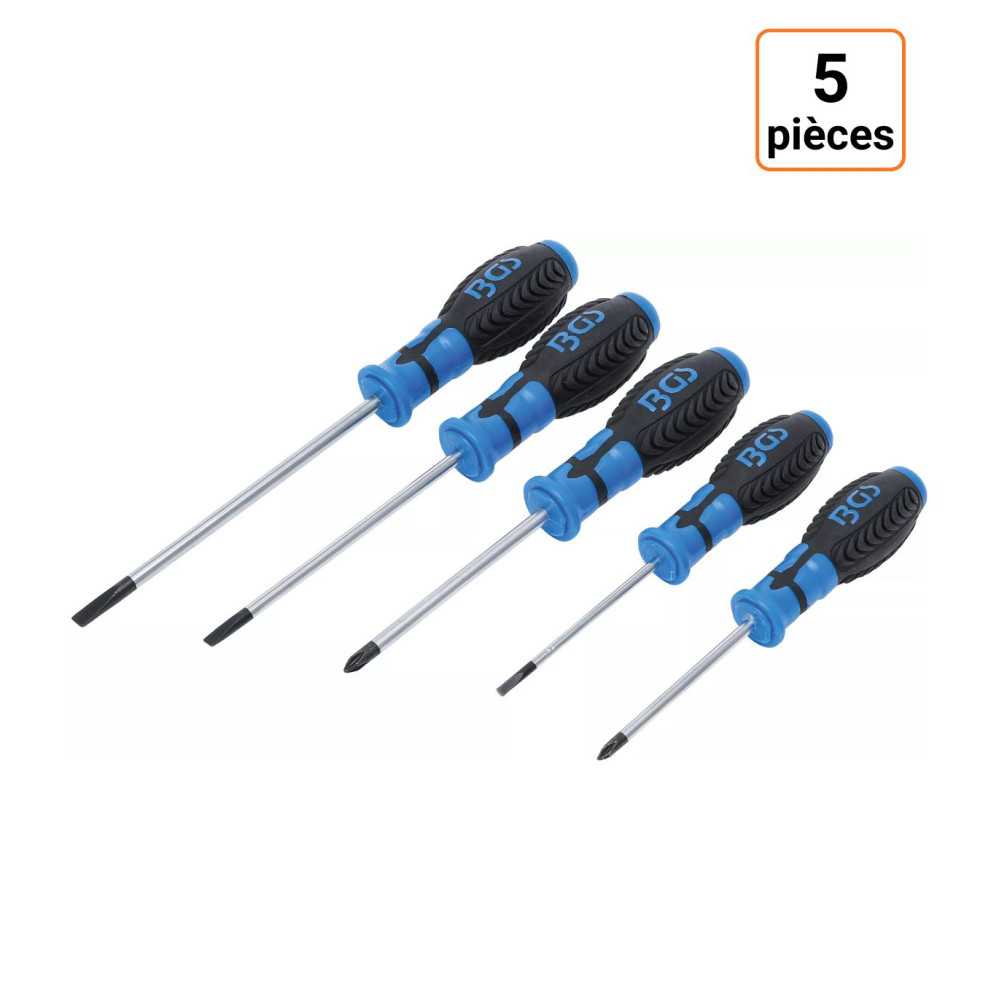 Lot de 5 tournevis cruciforme et à fente