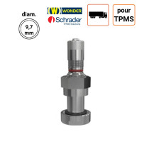 Valve Nickelées Poids-Lourds pour TPMS type 54MS