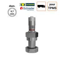 Valve Nickelées Poids-Lourds pour TPMS type 54MS