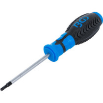 Tournevis Torx T20 80 mm - 1