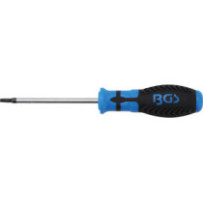 Tournevis Torx avec perçage T25 100 mm - 1
