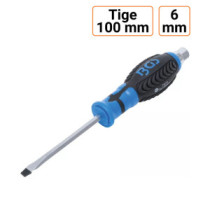 Tournevis plat 6 mm avec 6 pans extérieur 100mm de long