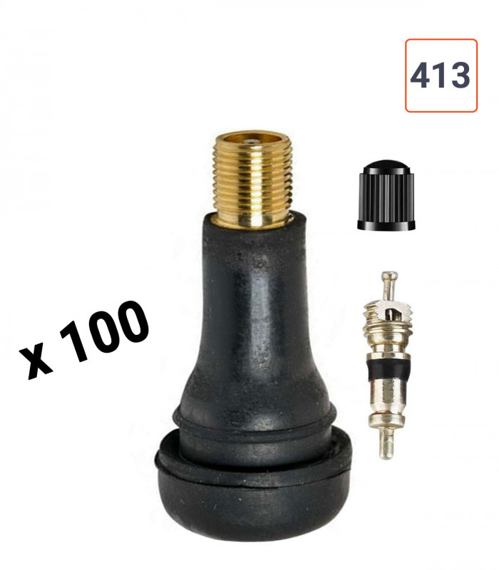 Valves TR 413 DÉMONTÉES pneu tubeless par 100ex