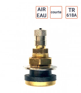 Valve Air-Eau TR 618A S  version courte