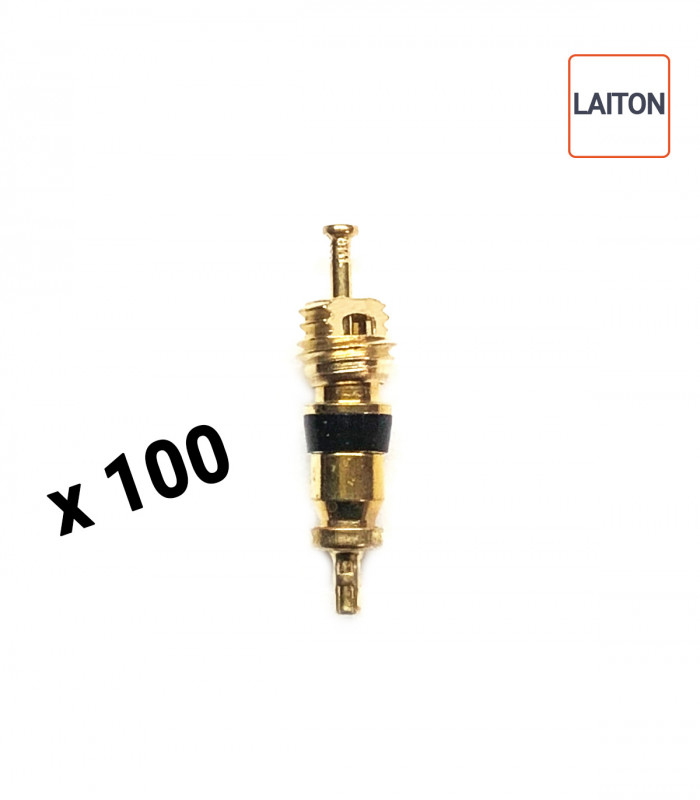 Obus de valves en laiton (x100)