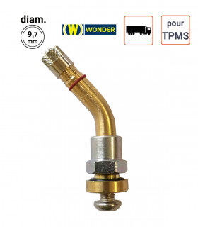Valve Nickelées Poids-Lourds pour TPMS type 2123