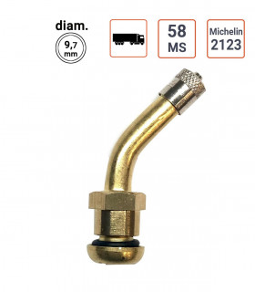valve Poids Lourds type Michelin 2123 ou 58MS - ETRTO V3.22.1 par 10 ex.