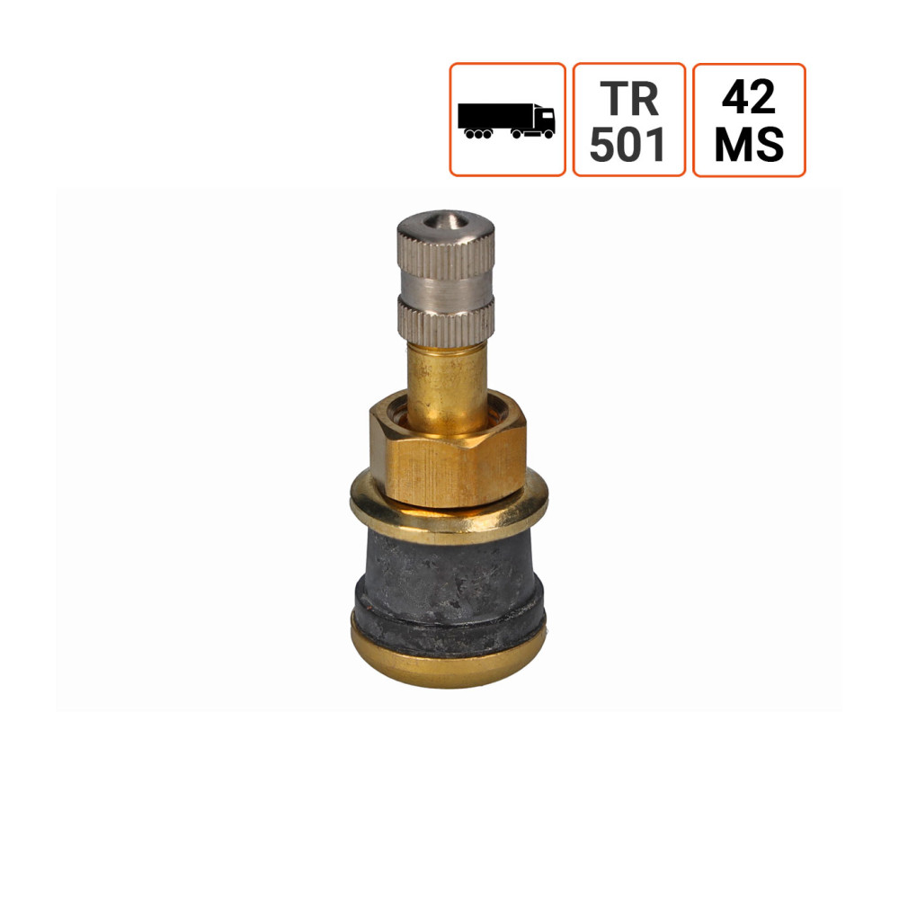Valve Poids Lourds TR 501 42MS